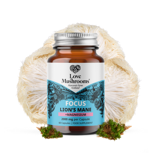 FOCUS – Lion’s Mane + Magnesium (60 Capsules)