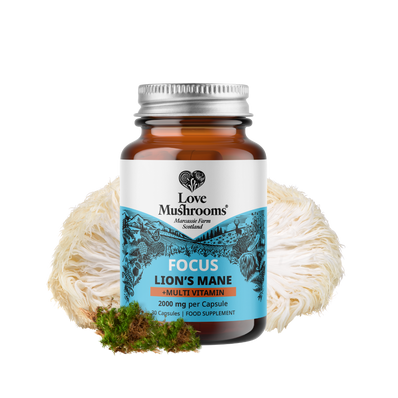 FOCUS – Lion’s Mane + Multivitamin (30 Capsules)