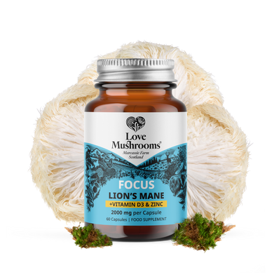 FOCUS – Lion’s Mane + Vitamin D3 & Zinc (60 Capsules)