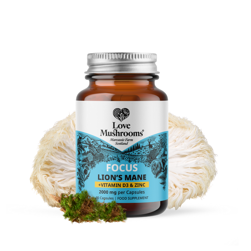 FOCUS – Lion’s Mane + Vitamin D3 & Zinc (30 Capsules)