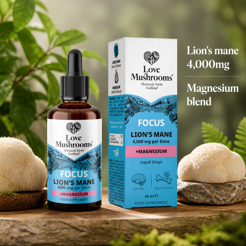 Lion's Mane + Magnesium Liquid Drops (60ml)