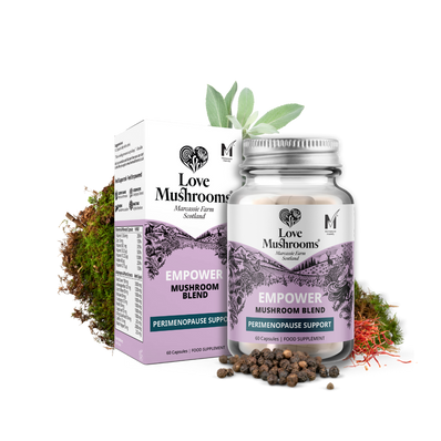 Empower – Mushroom Blend for Perimenopause Support (60 Capsules)