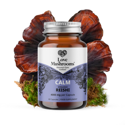 Reishi Capsules (60) – 4000mg per Capsule