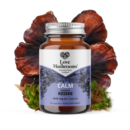 Reishi Capsules (60) – 4000mg per Capsule