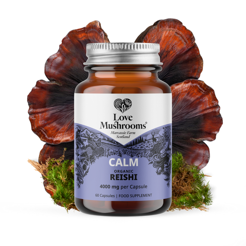 Reishi Capsules (60) – 4000mg per Capsule