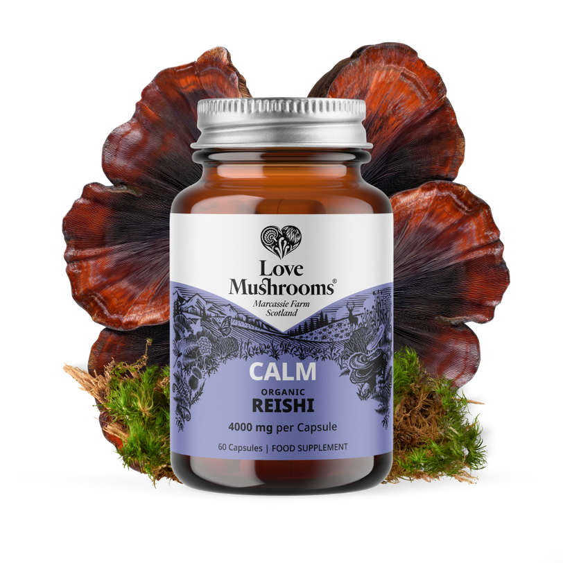 Reishi Capsules (60) – 4000mg per Capsule