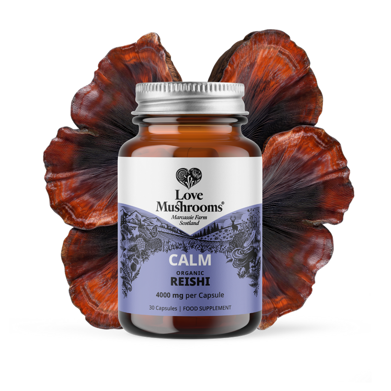 Reishi Capsules (30) – 4000mg per Capsule