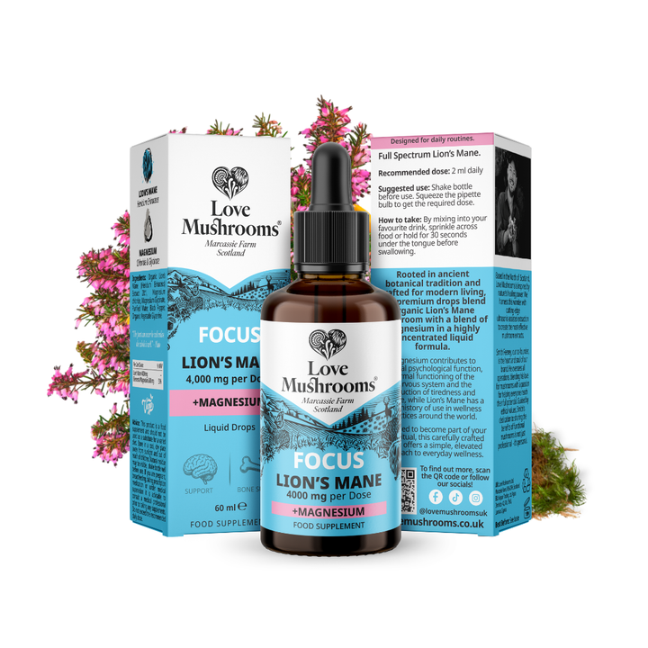 Lion's Mane + Magnesium Liquid Drops (60ml)