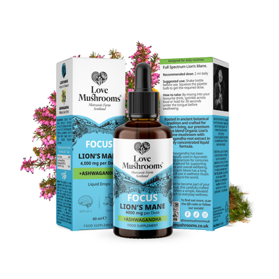 Lion's Mane + Ashwagandha - Liquid Drops (60ml)