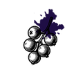 Chasteberry Extract