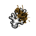 Ginger Root