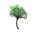 Ginkgo Biloba Extract