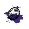 Grape Skin Extract