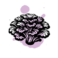 Maitake