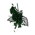 Nettle Extract