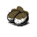 Potassium
