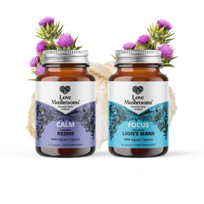 Rest & Recuperation Capsules 30s Bundle