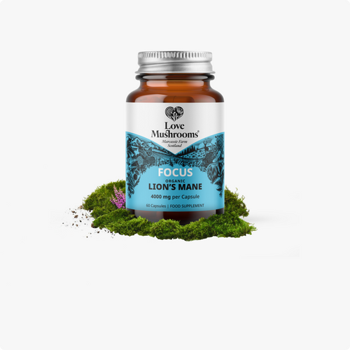 FOCUS – Lion’s Mane + Vitamin D3 & Zinc (60 Capsules)