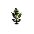 Silicon