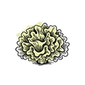 Tremella
