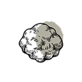 White Truffle