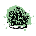 Vegan Vitamin D3 from Lichen
