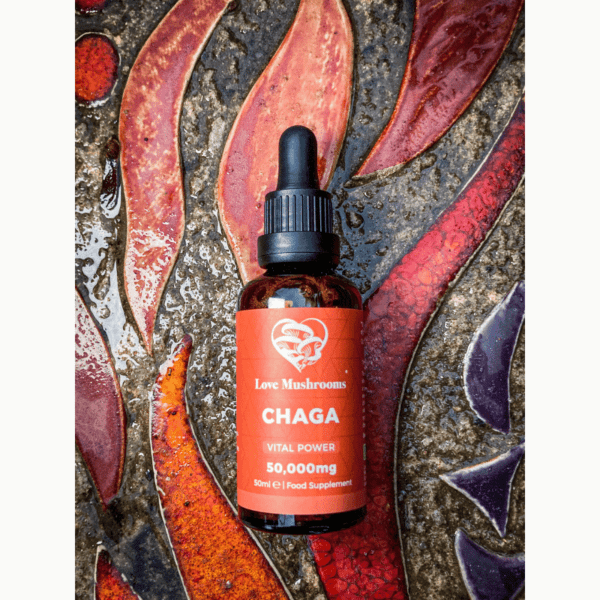 "Chaga Elixir for skin rejuvenation with mushroom extracts"