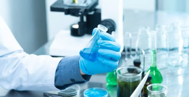 Microscopic view of mushroom polysaccharides highlights molecular structure.