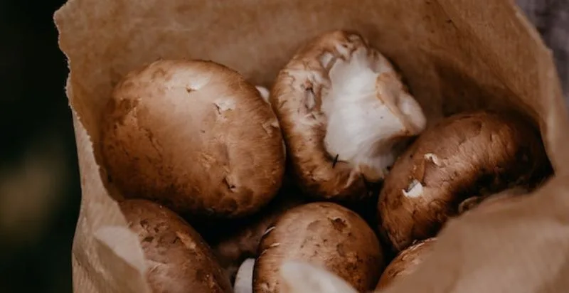 Raw button mushrooms display smooth, round caps, short stems, ideal for salads, stir-fries, with mild flavor, crunchy texture.