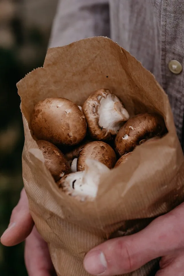 Bag filled with mushrooms symbolizes freshly picked harvest, culinary possibilities.