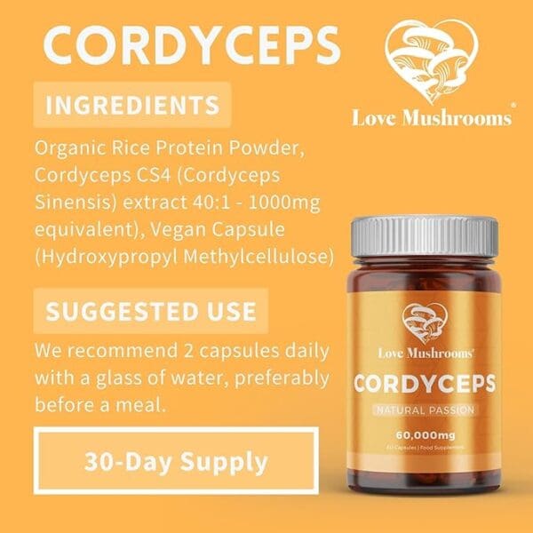 information about cordyceps capsules