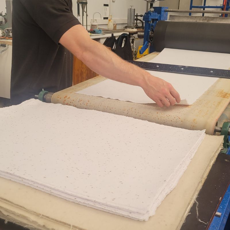 UK seed paper being produced at the mill